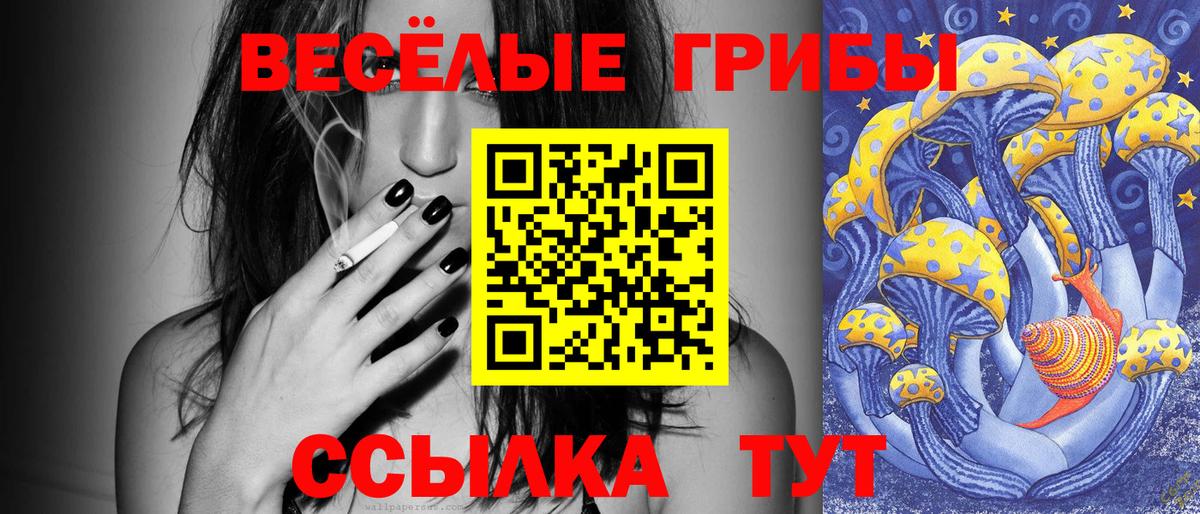 Галлюциногенные грибы Magic Shrooms Клин